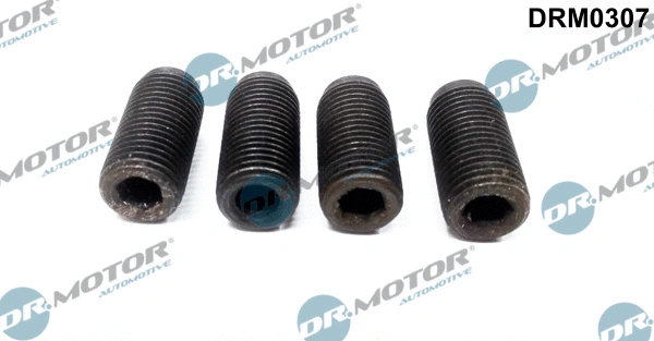 Įpurškimo siurblio reguliavimo varžtas Dr.Motor Automotive DRM0307