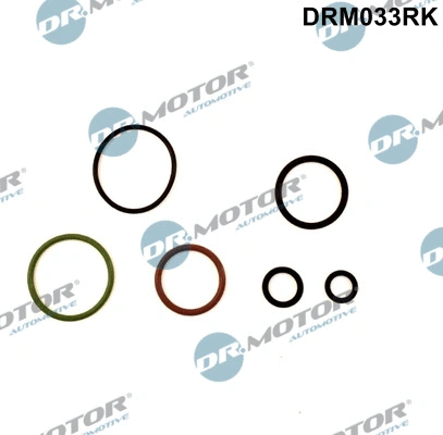 Siurblio-purkštukų bloko remonto komplektas Dr.Motor Automotive DRM033RK
