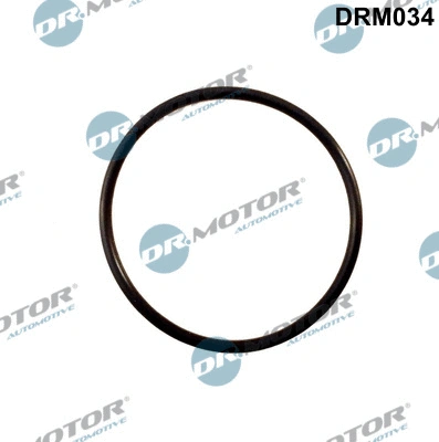 Įsiurbimo kolektoriaus tarpinė Dr.Motor Automotive DRM034
