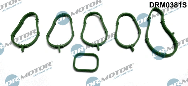 Įsiurbimo kolektoriaus tarpinių rinkinys Dr.Motor Automotive DRM0381S