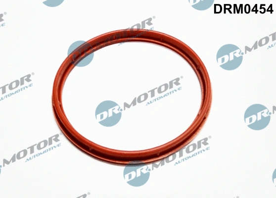 Įsiurbimo kolektoriaus korpuso tarpinė Dr.Motor Automotive DRM0454
