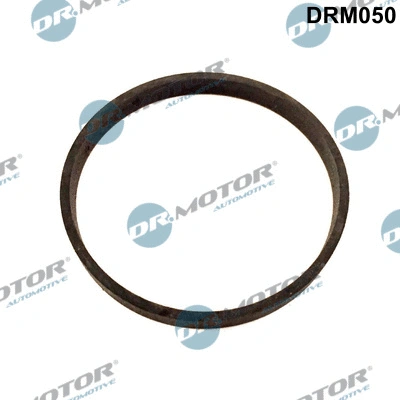EGR vožtuvo tarpinė Dr.Motor Automotive DRM050