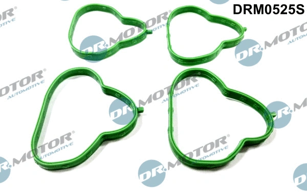 Įsiurbimo kolektoriaus tarpinių rinkinys Dr.Motor Automotive DRM0525S