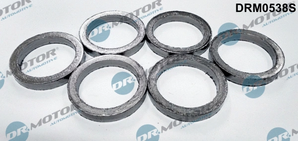 Išleidimo kolektoriaus tarpinių rinkinys  Dr.Motor Automotive DRM0538S