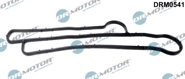 Alyvos aušintuvo tarpinė Dr.Motor Automotive DRM0541