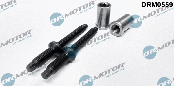 Purkštuko antgalio laikiklio varžtas Dr.Motor Automotive DRM0559