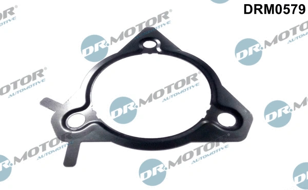Purškimo siurblio tarpiklis Dr.Motor Automotive DRM0579