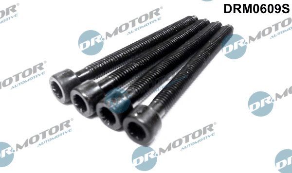 Įpurškimo siurblio reguliavimo varžtas Dr.Motor Automotive DRM0609S