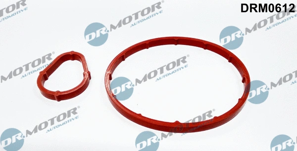 Vakuuminio siurblio tarpinės kompl. Dr.Motor Automotive DRM0612