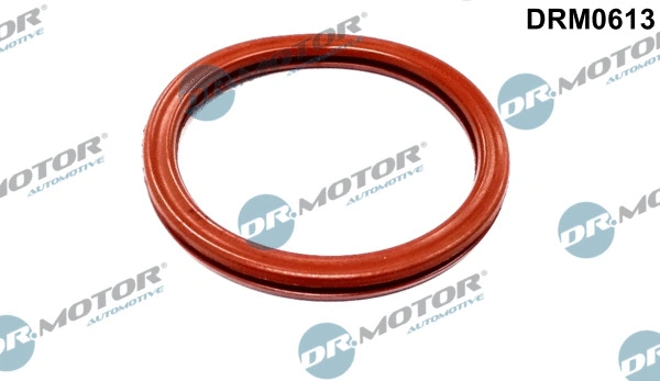 Droselio korpuso tarpinė Dr.Motor Automotive DRM0613