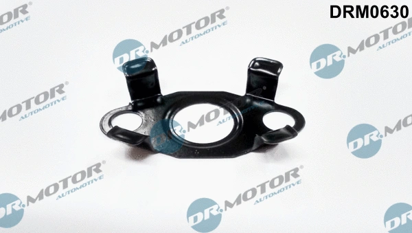 Alyvos išleidimo angos (pildymo) tarpinė Dr.Motor Automotive DRM0630
