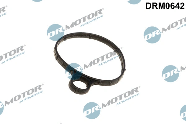 Vakuuminio siurblio tarpinė Dr.Motor Automotive DRM0642