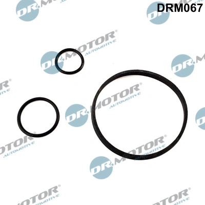 Alyvos aušintuvo tarpinių rinkinys Dr.Motor Automotive DRM067