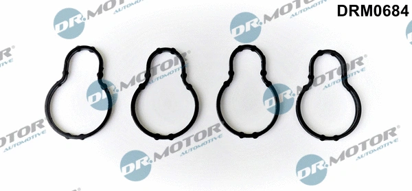 Įsiurbimo kolektoriaus tarpinė Dr.Motor Automotive DRM0684