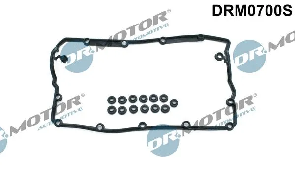 Vožtuvų dangtelio tarpinių komplektas Dr.Motor Automotive DRM0700S