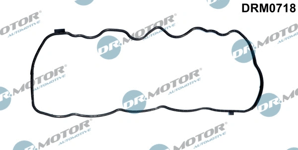 Sinchronizatoriaus bloko dangčio tarpinė Dr.Motor Automotive DRM0718