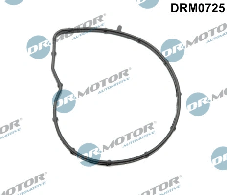 Vandens siurblio tarpiklis Dr.Motor Automotive DRM0725