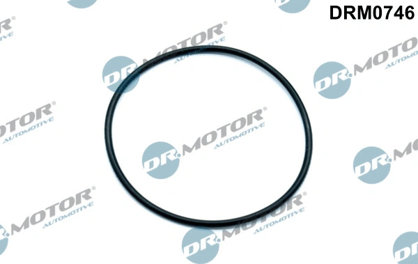 Vakuuminio siurblio tarpinė Dr.Motor Automotive DRM0746