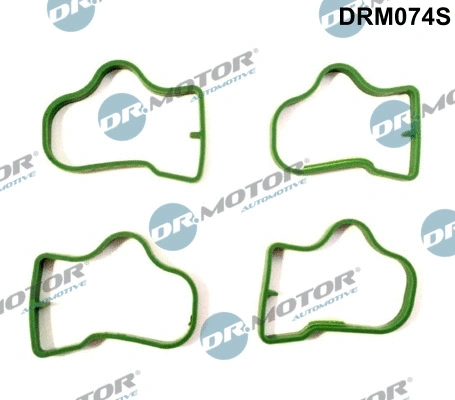 Įsiurbimo kolektoriaus tarpinių rinkinys Dr.Motor Automotive DRM074S