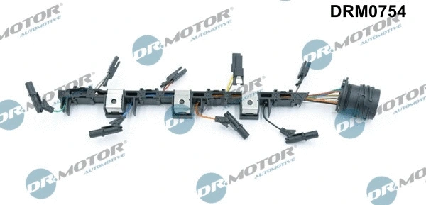 Diržo remonto rinkinys Dr.Motor Automotive DRM0754
