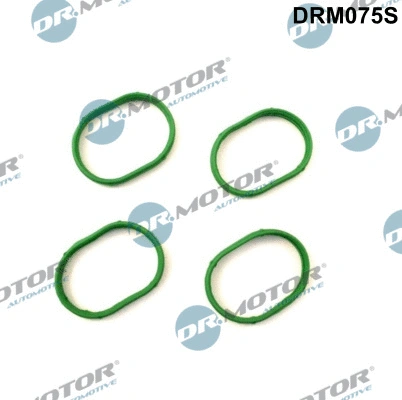 Įsiurbimo kolektoriaus tarpinių rinkinys Dr.Motor Automotive DRM075S