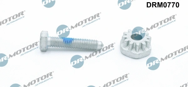 Kint. sr. generatoriaus montavimo įtempiklio varžtas Dr.Motor Automotive DRM0770