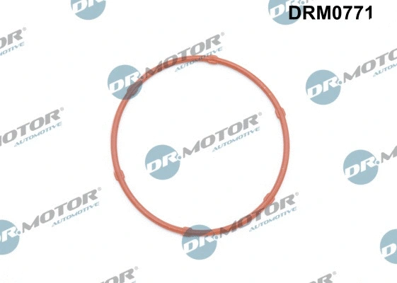 Alyvos siurblio tarpinė Dr.Motor Automotive DRM0771