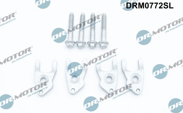Siurblio ir purkštukų bloko montavimo įrankių komplektas Dr.Motor Automotive DRM0772SL