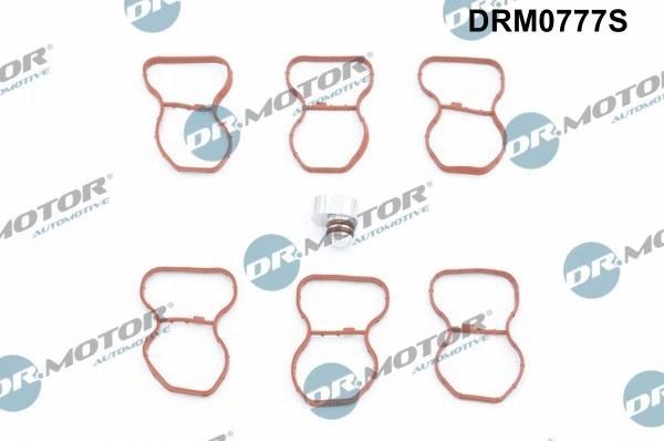 Įsiurbimo kolektoriaus tarpinių rinkinys Dr.Motor Automotive DRM0777S