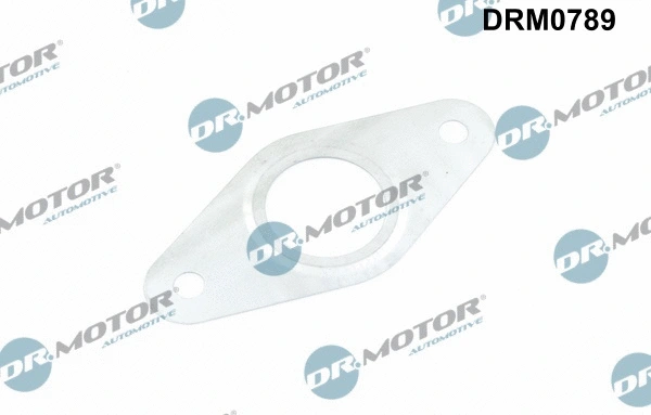 EGR vožtuvo vamzdelio tarpinė Dr.Motor Automotive DRM0789