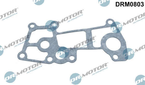 Aušinimo skysčio flanšo tarpinė Dr.Motor Automotive DRM0803