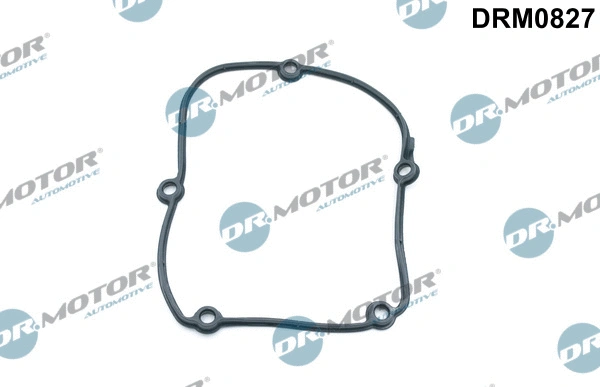 Sinchronizatoriaus bloko dangčio tarpinė Dr.Motor Automotive DRM0827