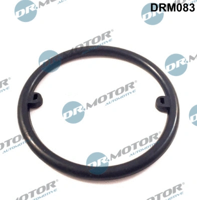 Alyvos aušintuvo tarpinė Dr.Motor Automotive DRM083