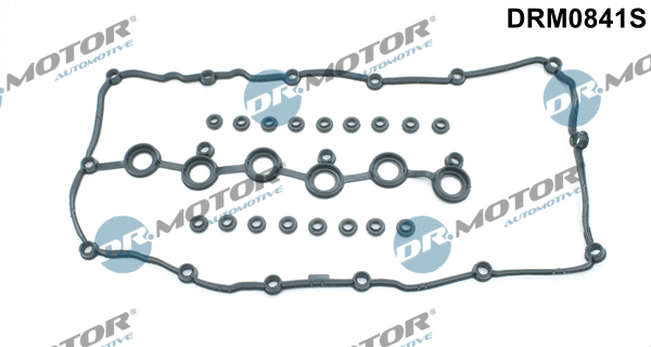 Vožtuvų dangtelio tarpinių komplektas Dr.Motor Automotive DRM0841S