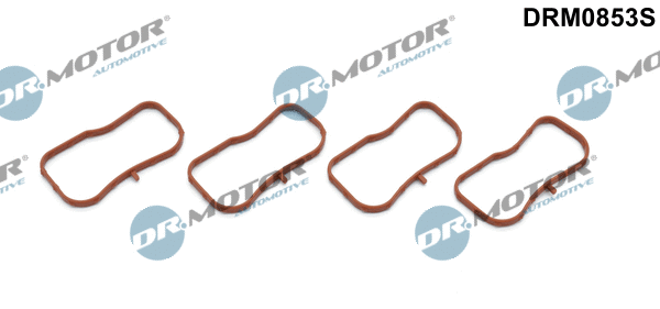 Įsiurbimo kolektoriaus tarpinių rinkinys Dr.Motor Automotive DRM0853S