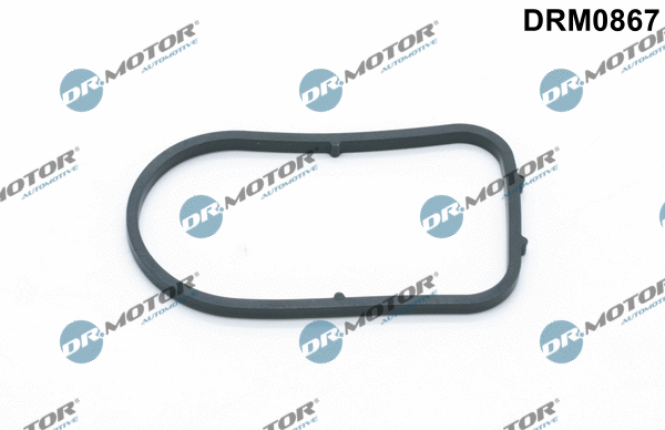 Vakuuminio siurblio tarpinė Dr.Motor Automotive DRM0867