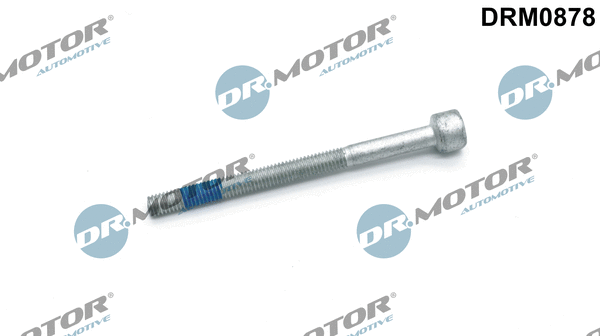 Purkštuko antgalio laikiklio varžtas Dr.Motor Automotive DRM0878