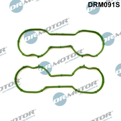 Įsiurbimo kolektoriaus tarpinių rinkinys Dr.Motor Automotive DRM091S