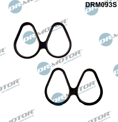 Įsiurbimo kolektoriaus tarpinių rinkinys Dr.Motor Automotive DRM093S