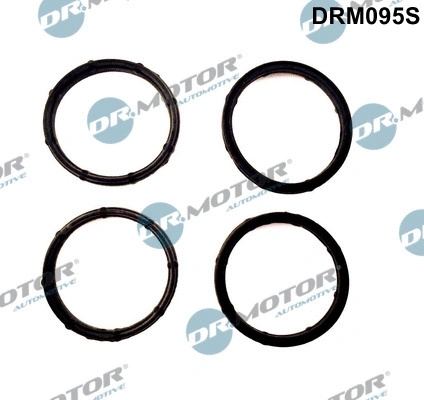 Įsiurbimo kolektoriaus tarpinių rinkinys Dr.Motor Automotive DRM095S