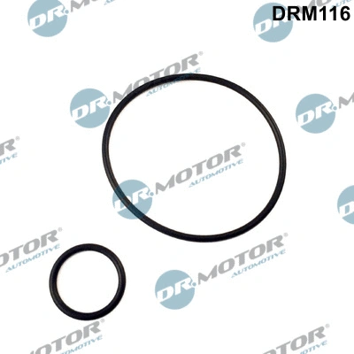 Įsiurbimo kolektoriaus tarpinių rinkinys Dr.Motor Automotive DRM116