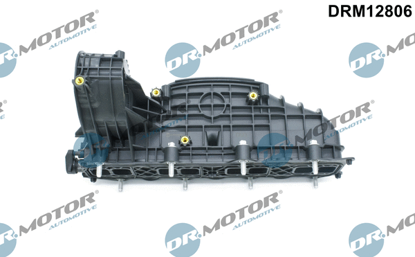 Įsiurbimo kolektoriaus modulis Dr.Motor Automotive DRM12806