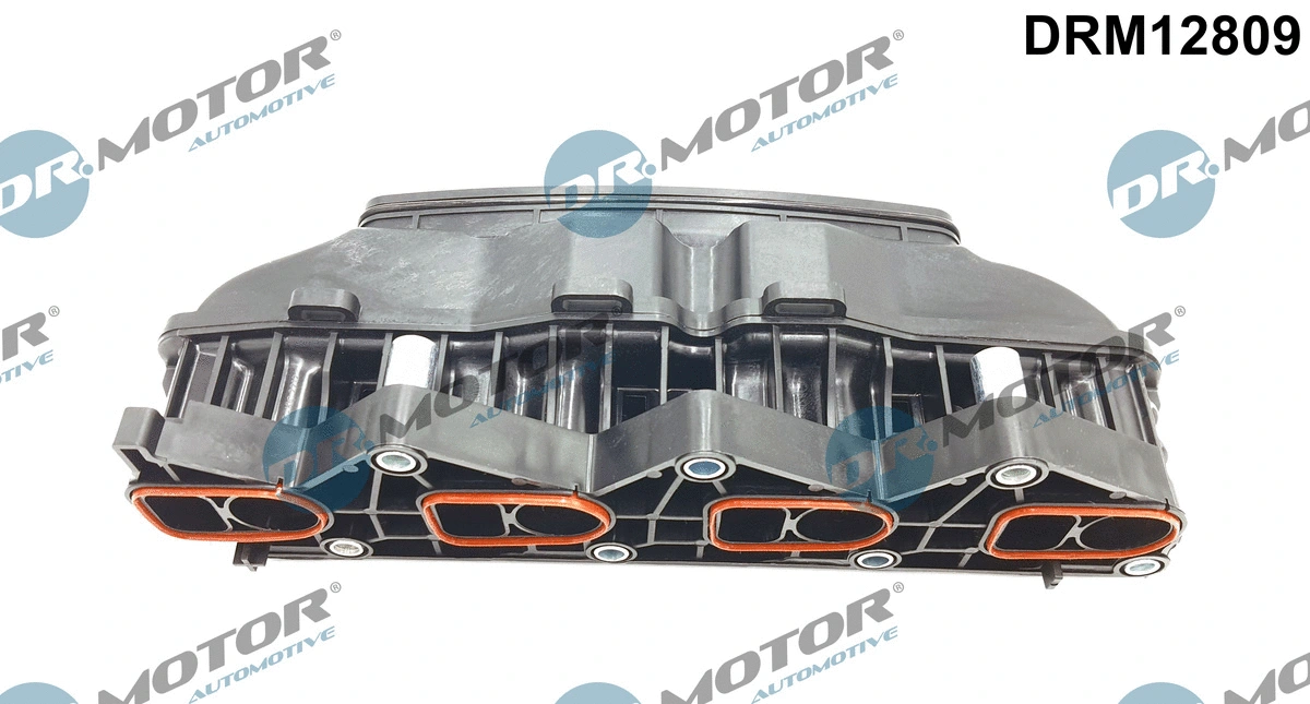 Įsiurbimo kolektoriaus modulis Dr.Motor Automotive DRM12809