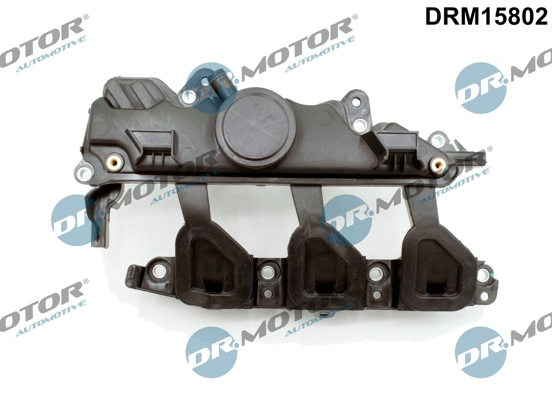 Įsiurbimo kolektoriaus modulis Dr.Motor Automotive DRM15802