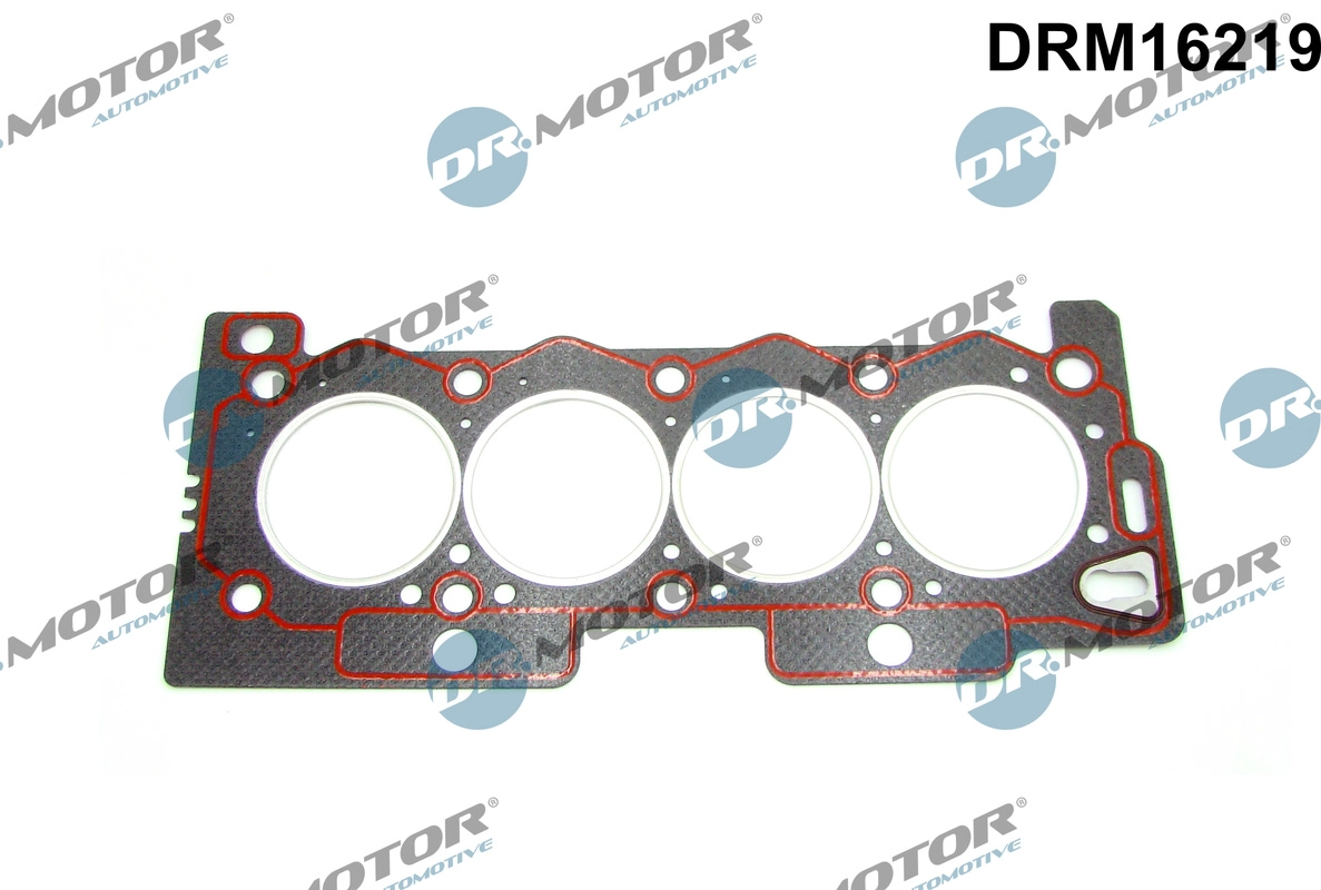Cilindro galvos tarpinė Dr.Motor Automotive DRM16219