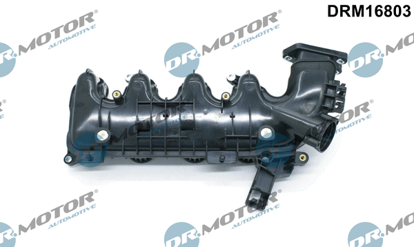 Įsiurbimo kolektoriaus modulis Dr.Motor Automotive DRM16803