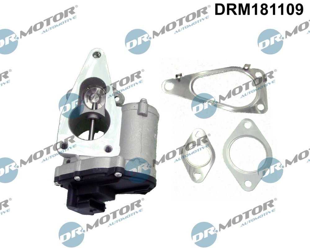 ERG vožtuvas Dr.Motor Automotive DRM181109