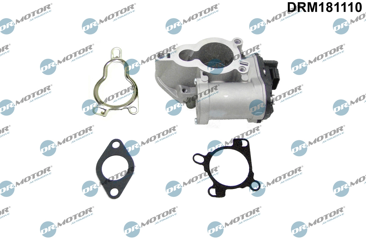 ERG vožtuvas Dr.Motor Automotive DRM181110
