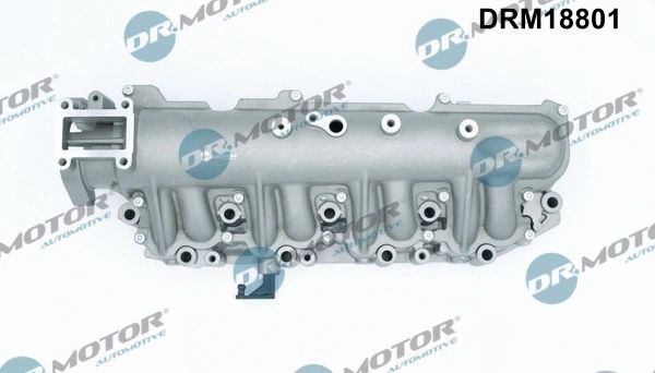 Įsiurbimo kolektoriaus modulis Dr.Motor Automotive DRM18801