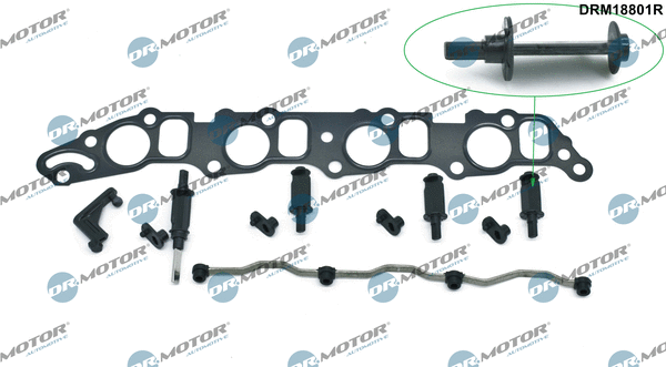 Įsiurbimo kolektoriaus modulis Dr.Motor Automotive DRM18801R
